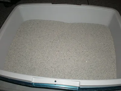 Areia higiênica para gatos (4kg)
