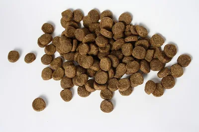 Ração premium cães adultos (15kg)
